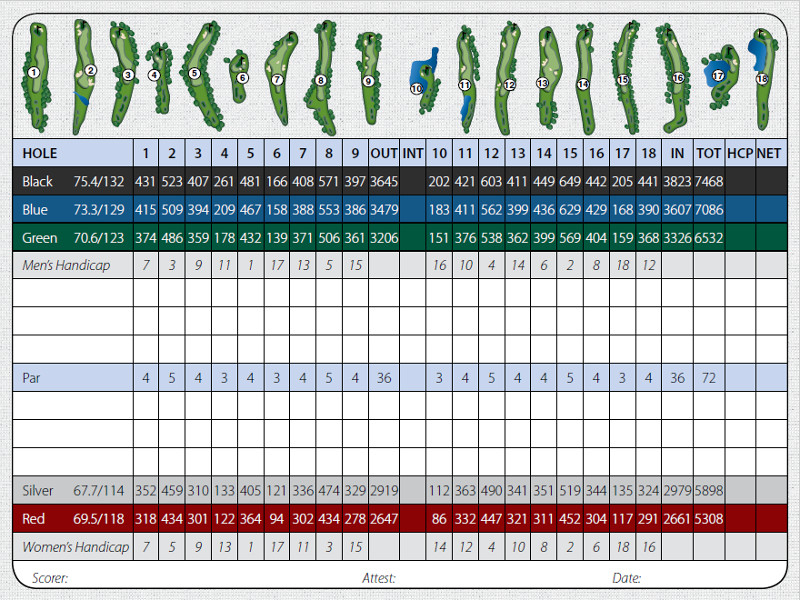 Meadow Brook Scorecard